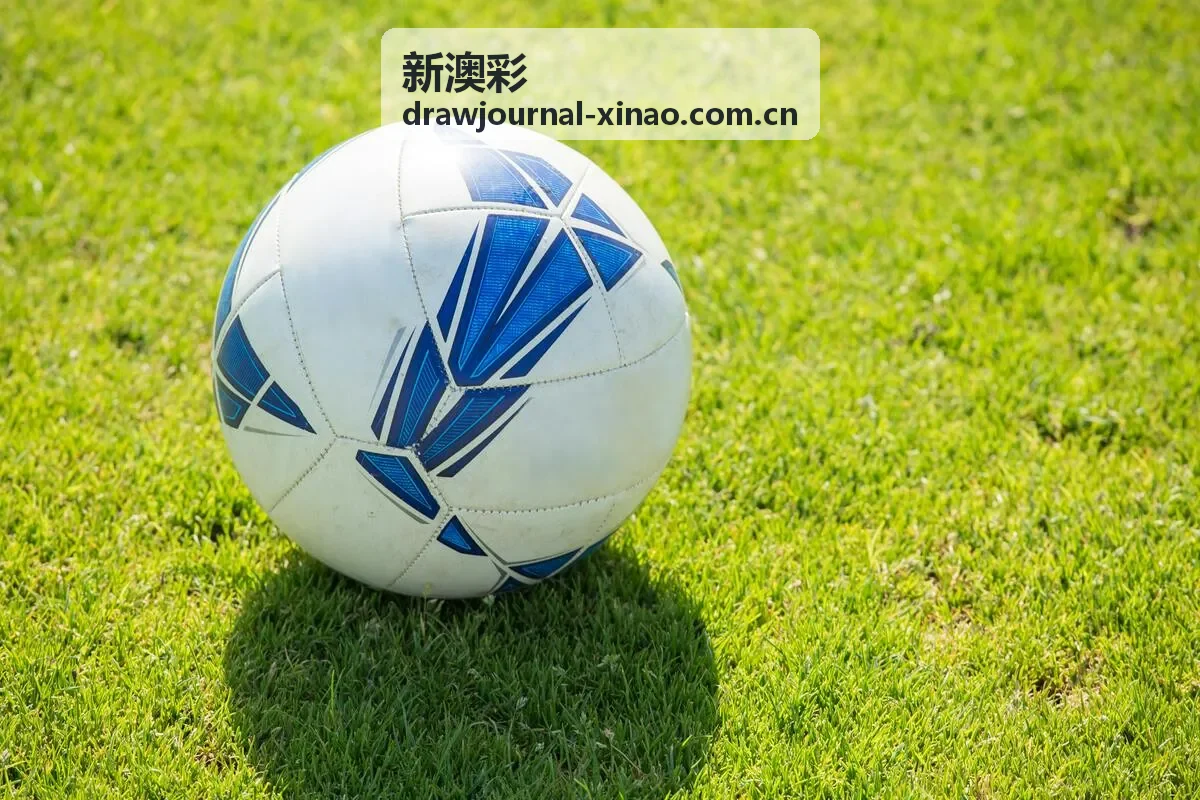 新澳彩大小走势对比解读
